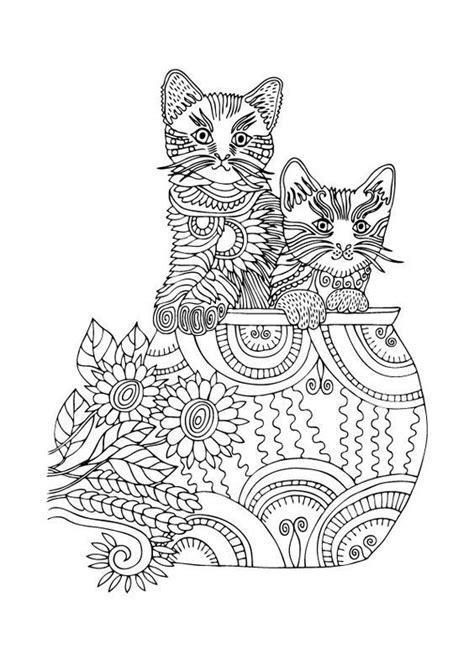 pin  jennifer walling  coloring pages kitten coloring book