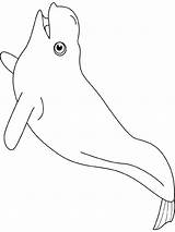 Beluga Coloriage Balena Imprimer Balene Lightupyourbrain Malvorlage sketch template
