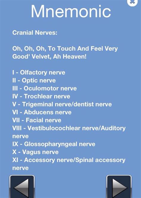 cranial nerves cranial nerves mnemonic nursing mnemonics nurse