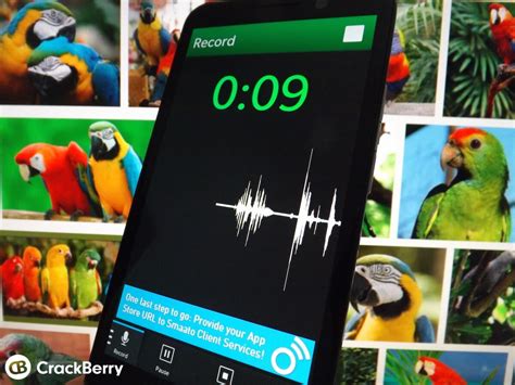 parrot voice recorder  updated  enhancements galore crackberry