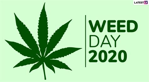 weed day  date history  significance related