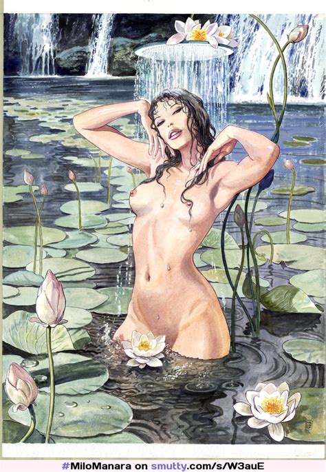 Erotic Illustration By Milomanara Hansgrohe Catalogue