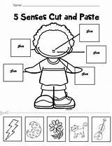 Senses Cut Paste Five Labeling Kindergarten Followers Tpt sketch template