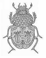 Insects Zentangle Relaxation Beetle Insect Meditation sketch template