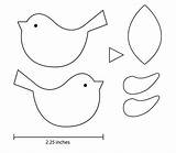 Bird Patterns Trace Popular Template Coloring sketch template