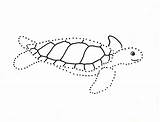 Dot Turtle Dotted Dots Samanthasbell sketch template