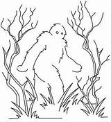 Sasquatch Coloring Bigfoot sketch template