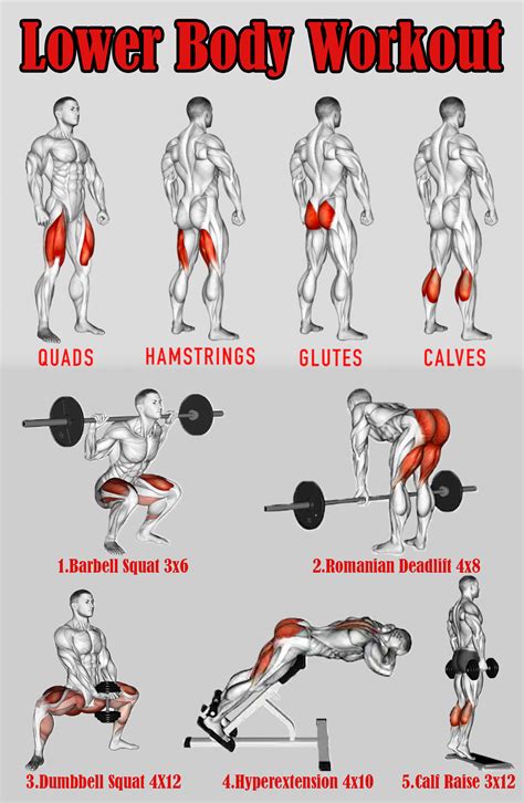 Lower Body Workout Krafttraining übungen Muskelaufbau übungen