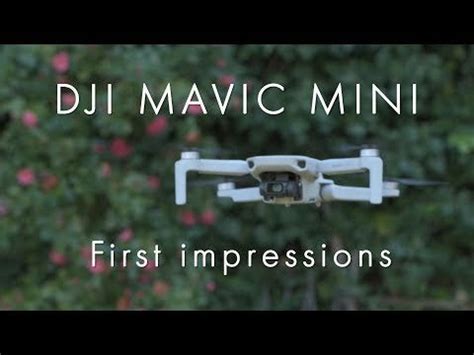 drone droneimages hands  review   mavic mini  ideal beginner drone rdroneaddress