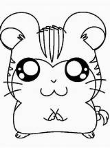 Coloring Pages Cute Hamster Kawaii Kids Para Colorear Hamsters Dibujos Printable Animales Dibujar Hamtaro Sheet Book Books Uteer Christmas Easy sketch template