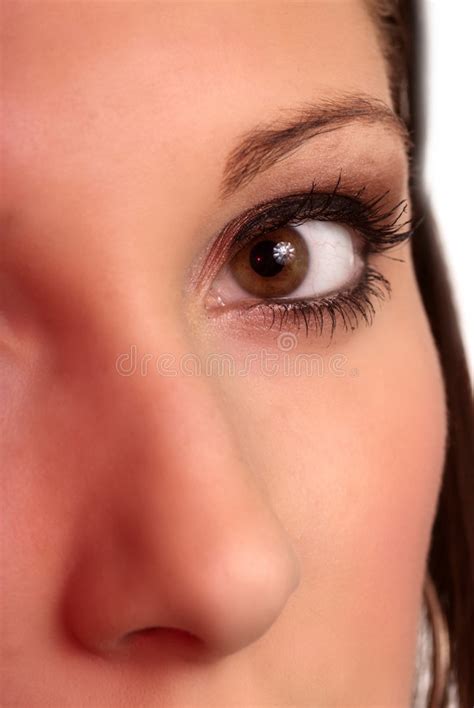 face eye nose stock image image   color caucasian