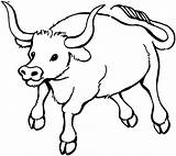 Dieren Bulls Tekeningen Stieren sketch template