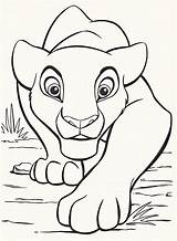 Lion King Coloring Pages Disney Drawings Drawing Cartoon Choose Board Colors sketch template