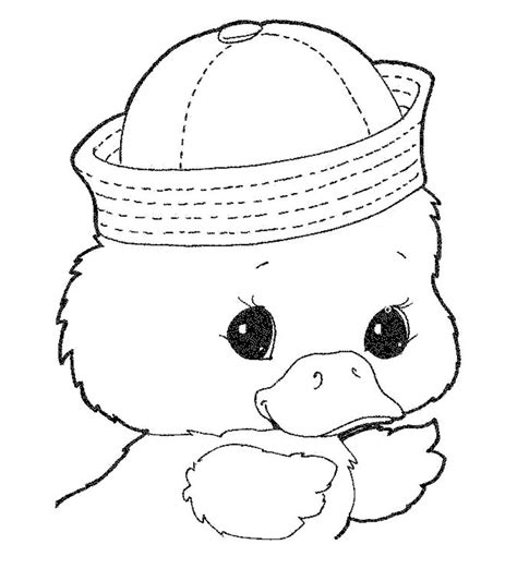 duck coloring pages  kids smart kiddyblogspotcom