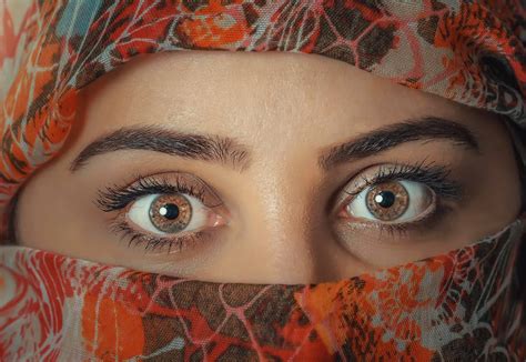 evolutionary advantage   eyebrows