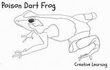 Poison Dart Frogs sketch template