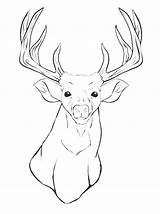 Coloring Deer Pages Head Printable Mule Reindeer Animal Buck Drawing Silhouette Whitetail Getcolorings Clipart Antler Outline Adult Tail Kids Color sketch template