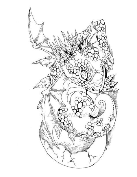 fairies  dragons coloring pages coloring pages