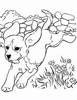 Dogs Adults Puppy Dogg Coloringhome sketch template