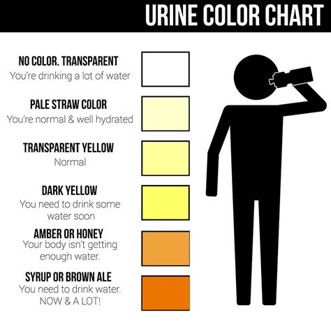 urine color chart  color  normal