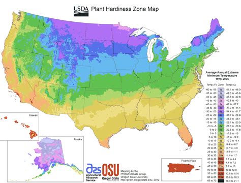 plant hardiness map plant hardiness zone plant hardiness zone map