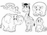 Coloring Pages Safari Animals Baby Jungle Animal Getcolorings Getdrawings sketch template