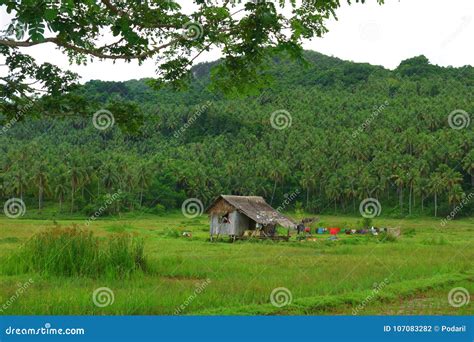 philippine countryside stock photo image  architecture