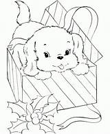 Chien Noel Chiots 1001 Chiot Magnifique Catégorie sketch template