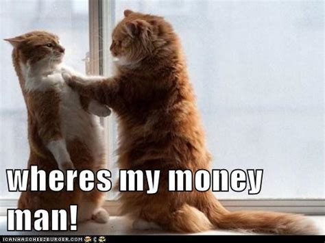Wheres My Money Man Lolcats Lol Cat Memes Funny