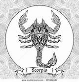 Scorpio Coloring Zodiac Adult Coloriage Pages Signs Mandala Zentangle Zodiaque Sign Shutterstock Style Astrologie sketch template