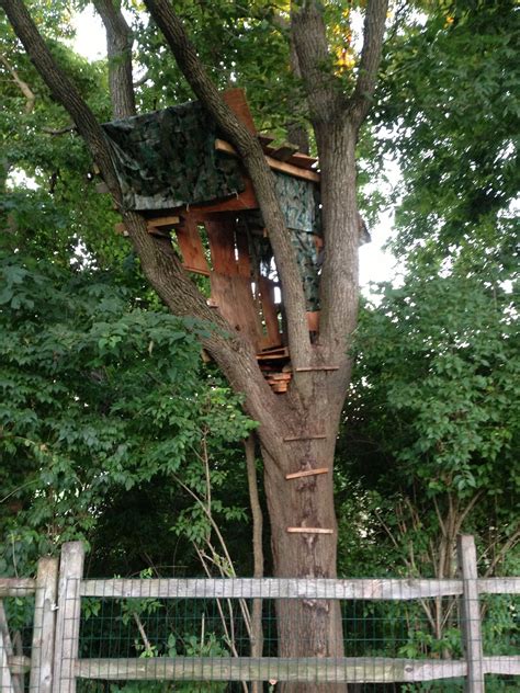 diy treehouse  steps instructables