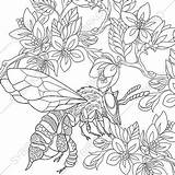 Coloring Pages Adult Zentangle Flowers Bee Book Printable Getdrawings Mandalas Choose Board Kids sketch template