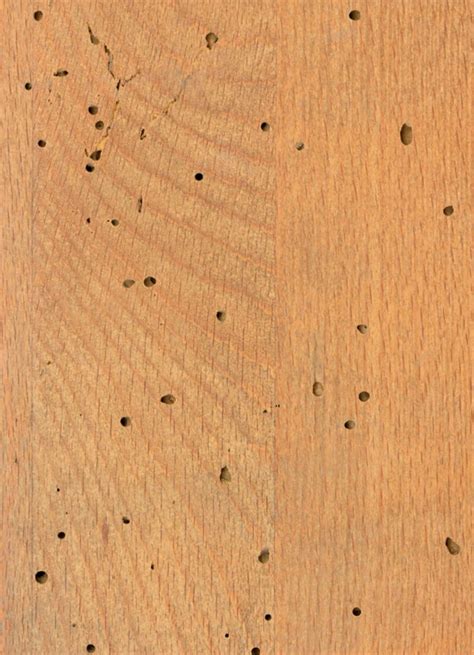 comment nettoyer  proteger  meuble en bois castorama