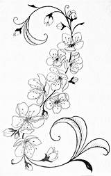 Tattoo Flower Tattoos Blossom Cherry Flowers Body Back Scratch Tatoos Henna Future Skin Awesome Hand Beautiful Drawing sketch template