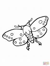 Moth Colorear Dibujos Colorare Supercoloring Disegni Polilla Insect Insectos Tarma Motten Moths Kleurplaat Insetto Fantasticas Mot Disegnare Categorieën sketch template