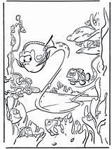 Dory Coloring Pages Nemo Printables Kids Advertisement sketch template