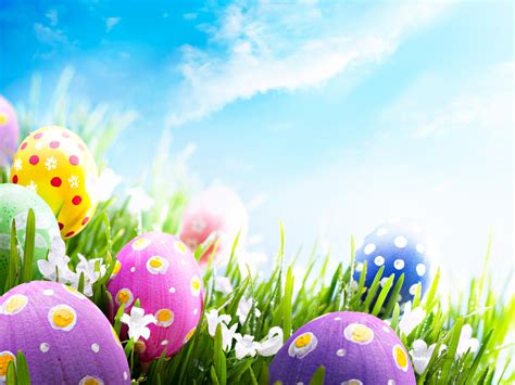 happy easter wallpaper  large images