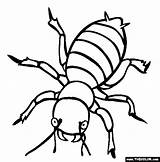 Coloring Gif Pages Potato Insect Kids Bug sketch template