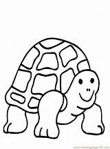 Coloring Pages Turtles Turtle Ninja Printable Color Cartoon Yertle Cliparts Colouring Dna Baby Clipart Animal Clip Garden Cute Kids Rock sketch template