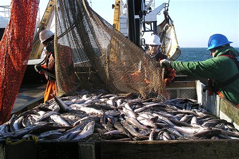 industrial fishing  dominated       worlds wealthiest
