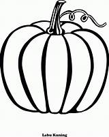 Labu Gambar Mewarnai Kuning Sketsa Putih Anak Sayur Calabazas Coloring Pumpkin Thanksgiving Pumpkins Pumkin Vegetables sketch template