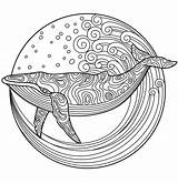 Whale Coloring Pages Adult Color Adults Mandala Choose Board Turtle Colouring Printable sketch template