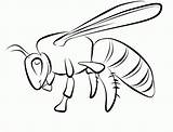 Bee Coloring Pages Printable Animals Kids Gif Preschool sketch template