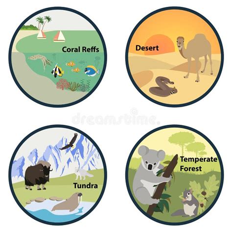habitats   world vector set stock vector illustration  animals