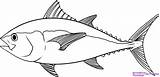Tuna Fish Drawing Coloring Draw Bluefin Step Yellowfin Animals Outline Pages Real Drawings Clipart Fin Clip Stencil Sketch Gadget Collections sketch template