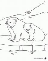 Coloring Polar Pages Animals Bear Bears Arctic Printable Color Ox Musk Hellokids Outline Drawing Choose Print Animal Popular Getdrawings Getcolorings sketch template
