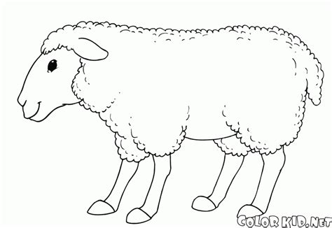 coloring page smiling sheep