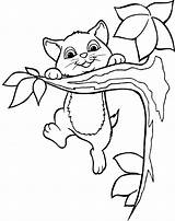 Climbing Coloring Pages Cat Tree Clipart Colouring Kids Animals Hang Cats Trees Kitty Sheets Clip Cliparts Patterns Tabby Book Animal sketch template