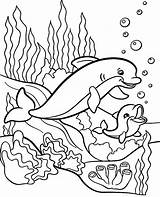 Dolphins Dolphin Colorir Golfinhos Desenhos Golfinho Topcoloringpages Malen Comofazeremcasa sketch template