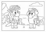Bluey Friends Army Colouring Sheets sketch template